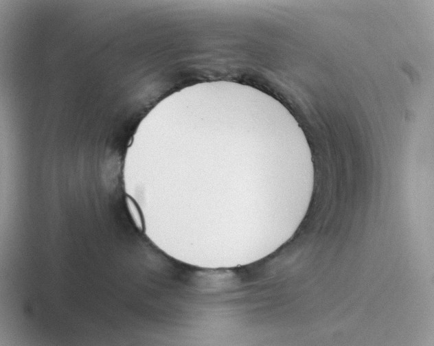 X0000116640480201001041034