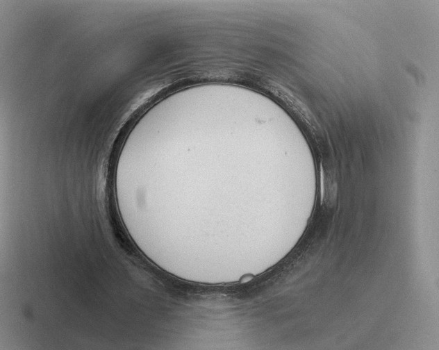 X0000116640483201001041034