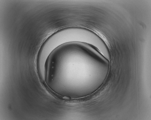 X0000116640485201001041034