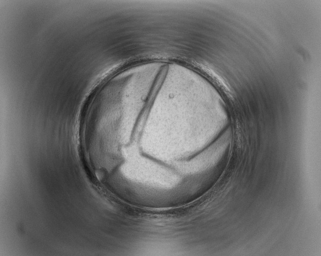 X0000116640486201001041034