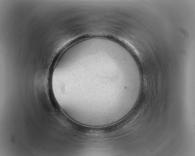 X0000116640487201001041034