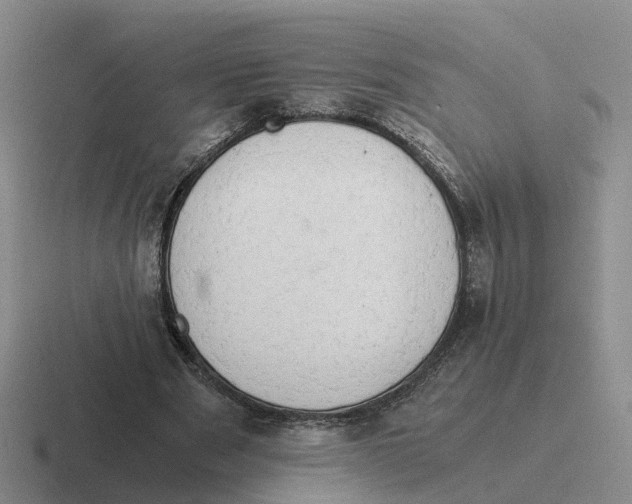 X0000116640489201001041034