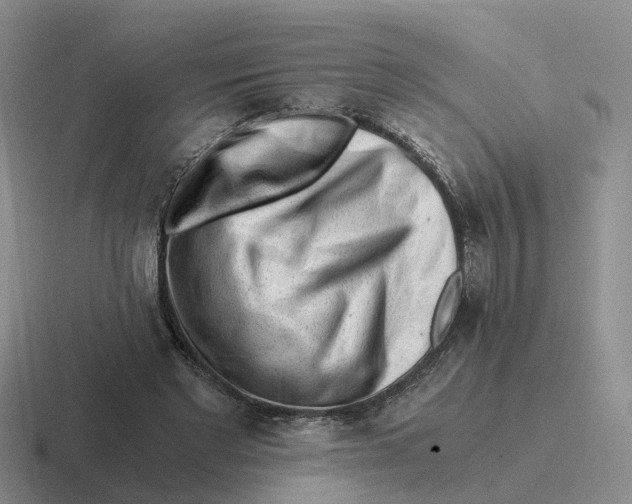 X0000116640493201001041034