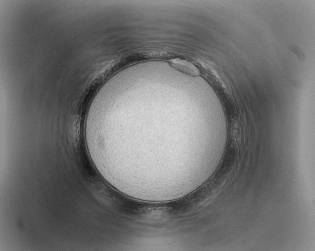 X0000116640495201001041034