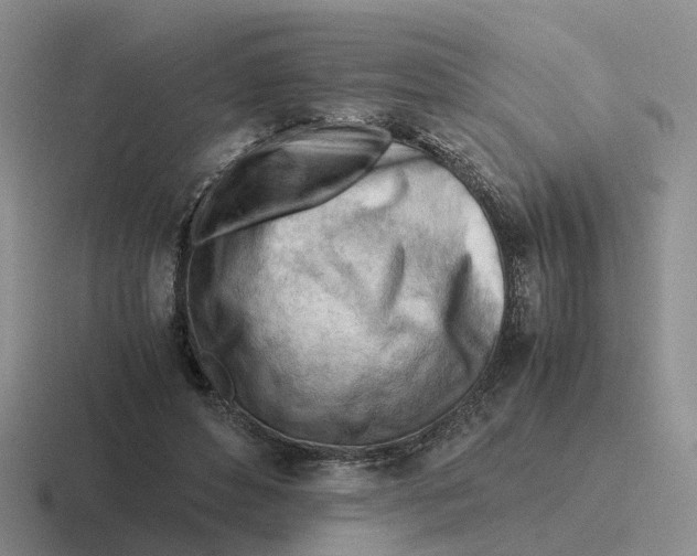 X0000116640496201001041033