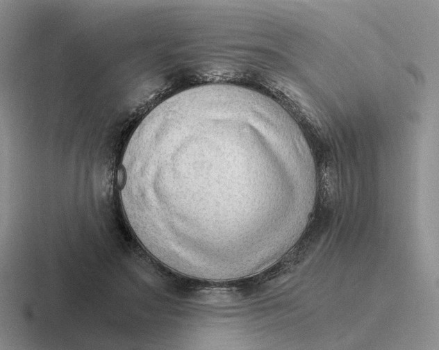 X0000116640499201001041033