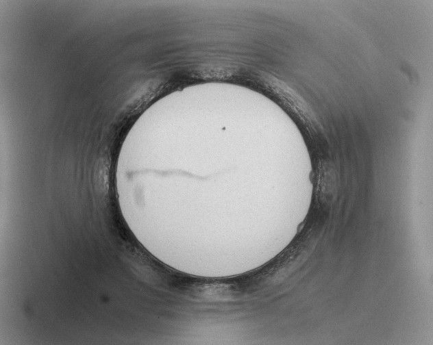 X0000116640501201001041033