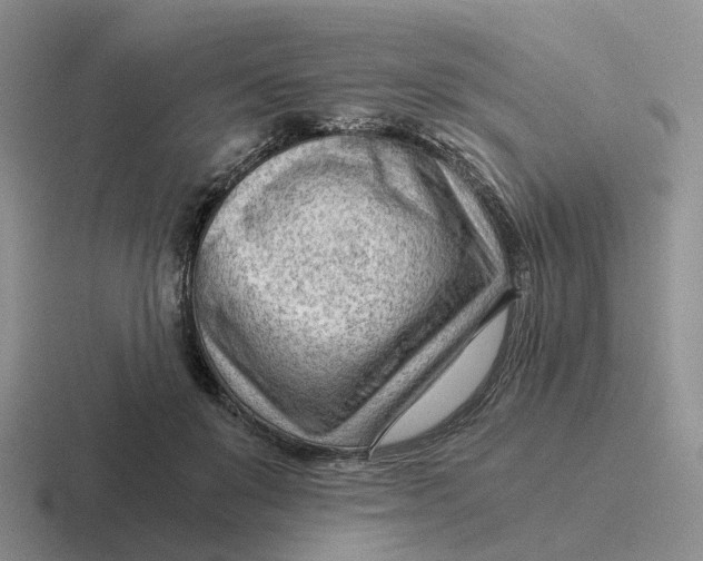 X0000116640503201001041033