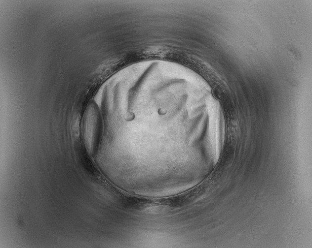 X0000116640504201001041033