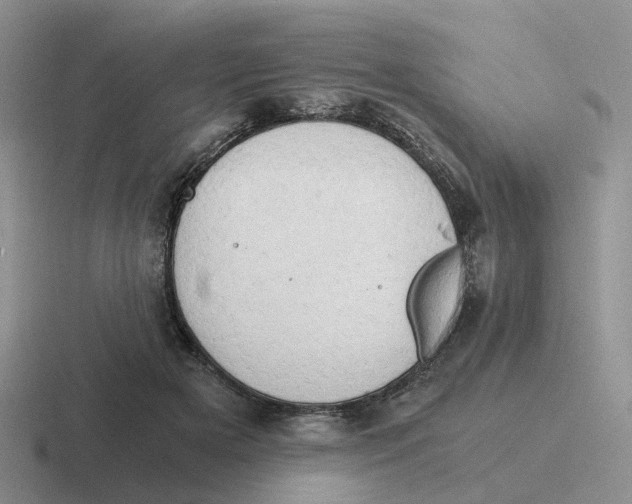 X0000116640505201001041033