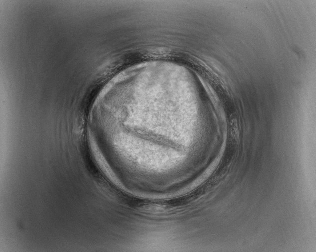 X0000116640507201001041033