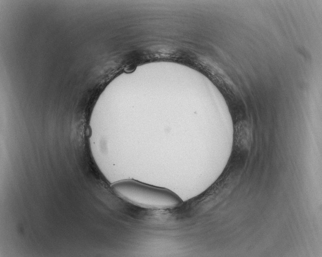 X0000116640509201001041033