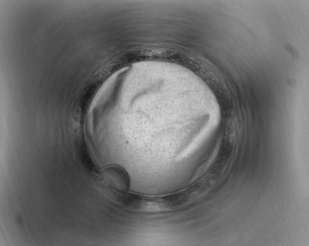 X0000116640510201001041033