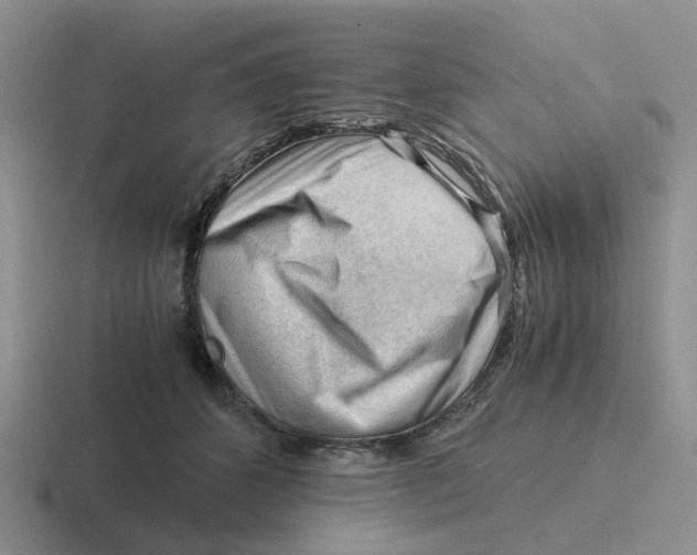 X0000116640512201001041033