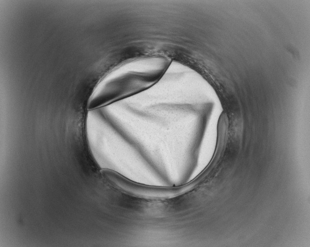 X0000116640513201001041033