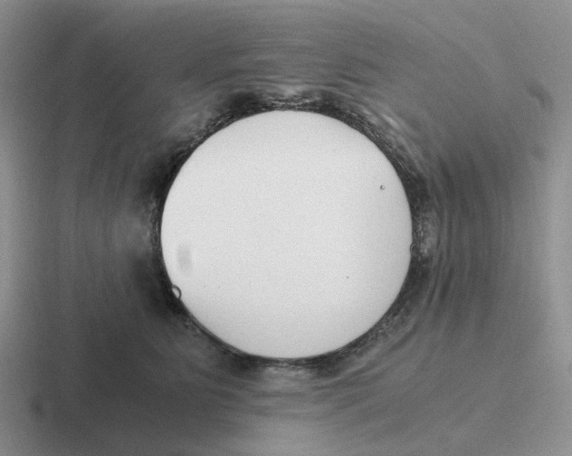 X0000116640515201001041033