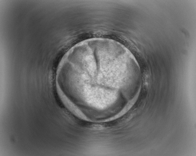 X0000116640519201001041033