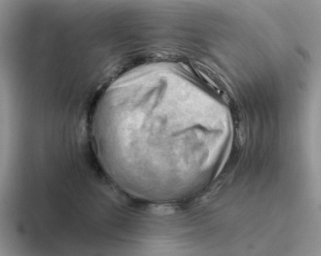 X0000116640520201001041033