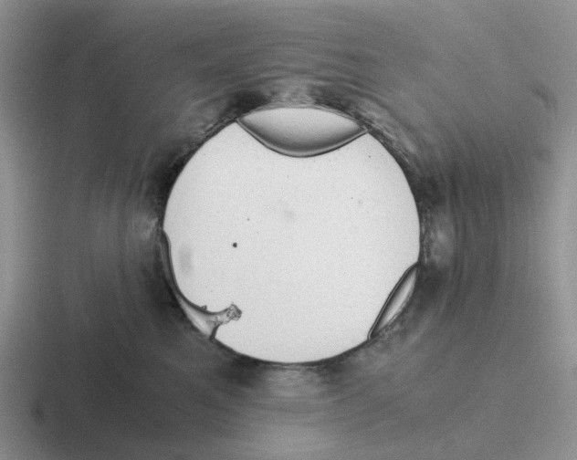 X0000116640521201001041033