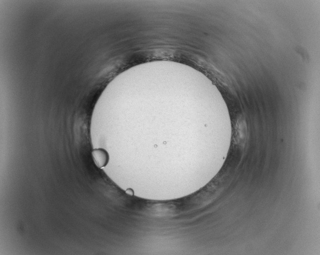 X0000116640522201001041033