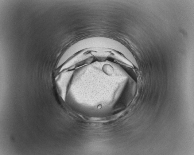 X0000116640524201001041033