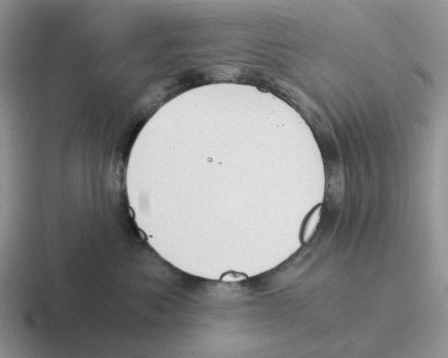 X0000116640525201001041033