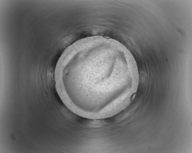 X0000116640527201001041033