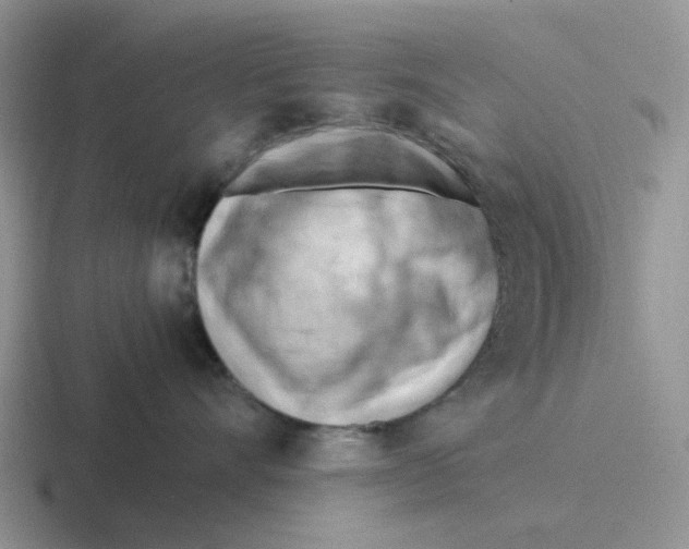 X0000116640528201001041033