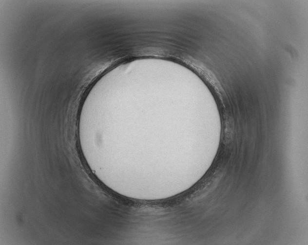 X0000116640529201001041032