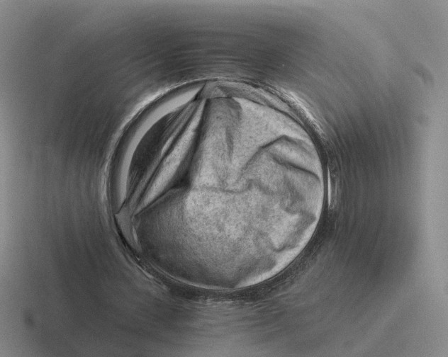 X0000116640531201001041033