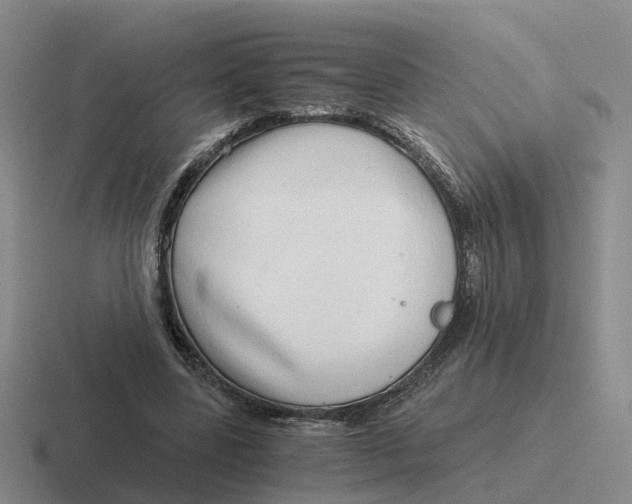 X0000116640539201001041033