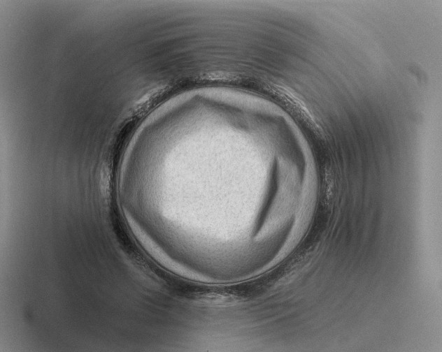 X0000116640542201001041033