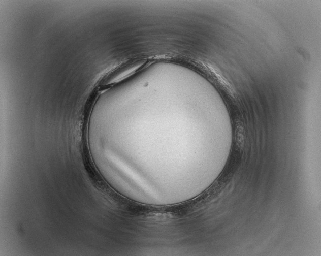 X0000116640543201001041033