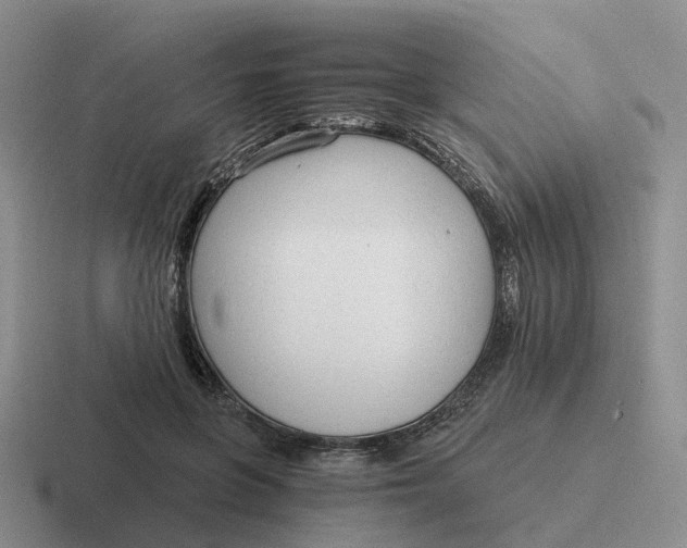 X0000116640551201001041033