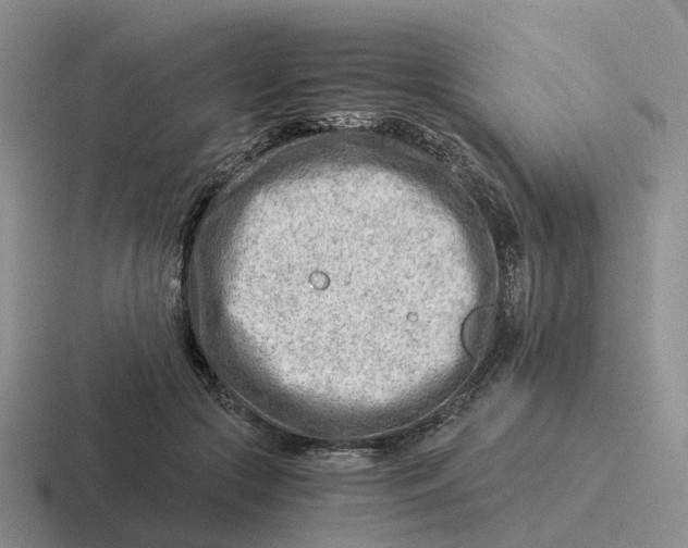 X0000116640553201001041033