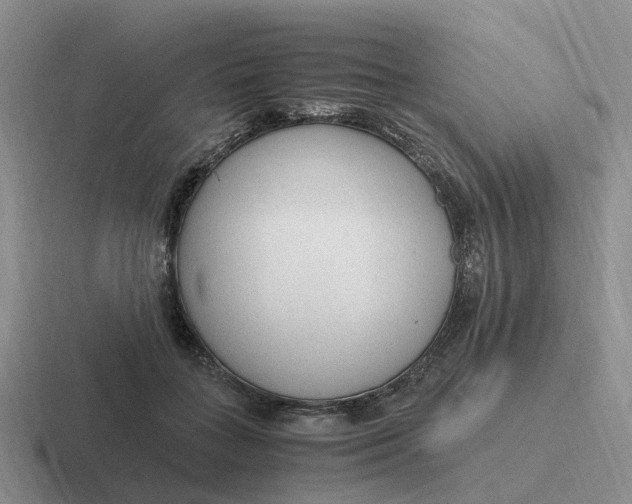 X0000116640555201001041033