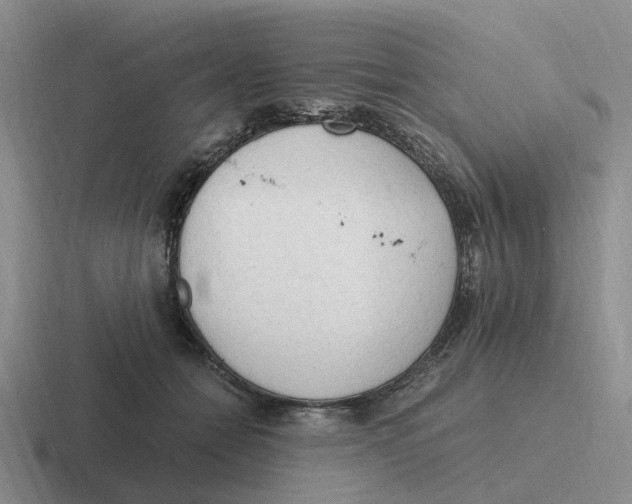 X0000116640558201001041033