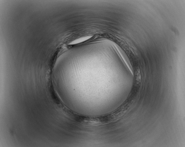 X0000116640559201001041033