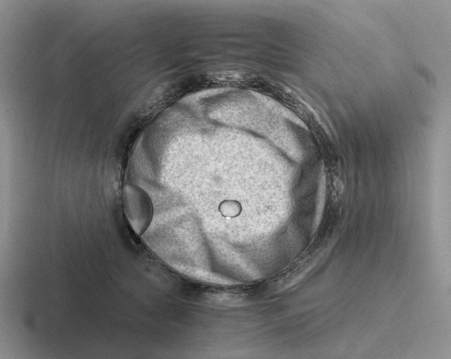 X0000116640561201001041033