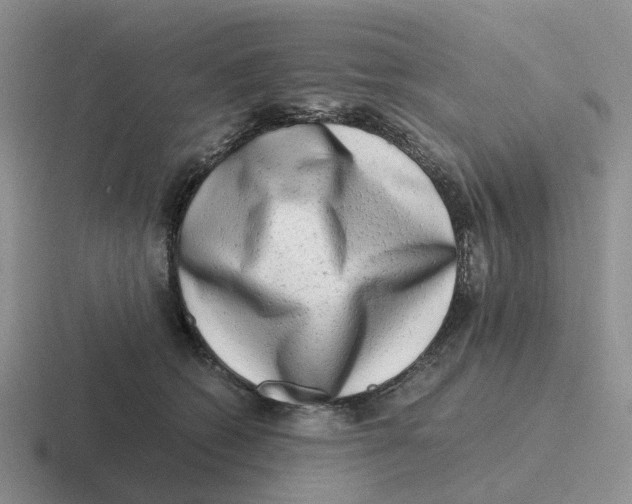 X0000116640562201001041033