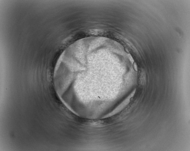 X0000116640569201001041033