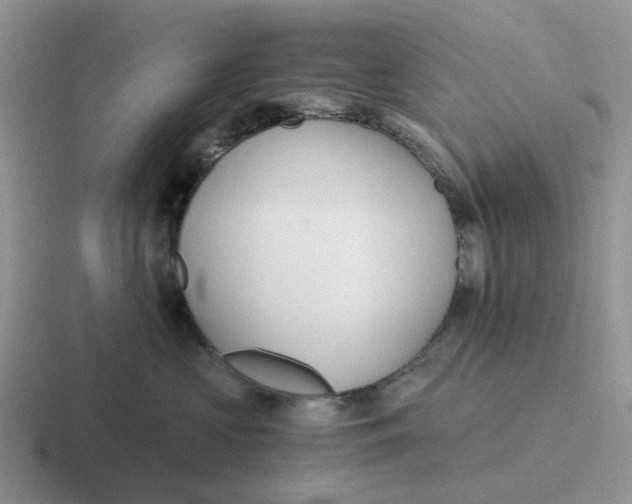 X0000116640573201001041033