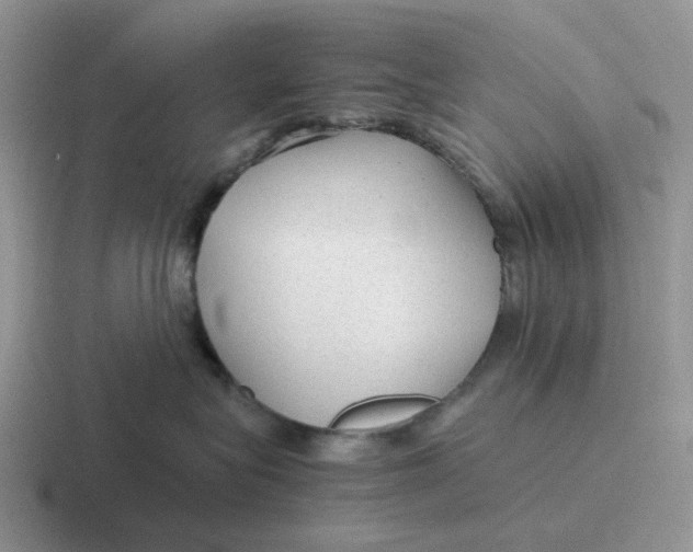 X0000116640575201001041033