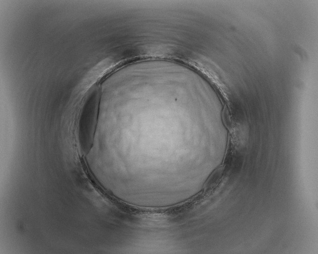 X0000116640577201001041032