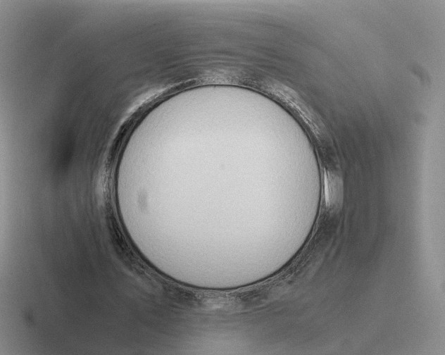 X0000116640579201001041032