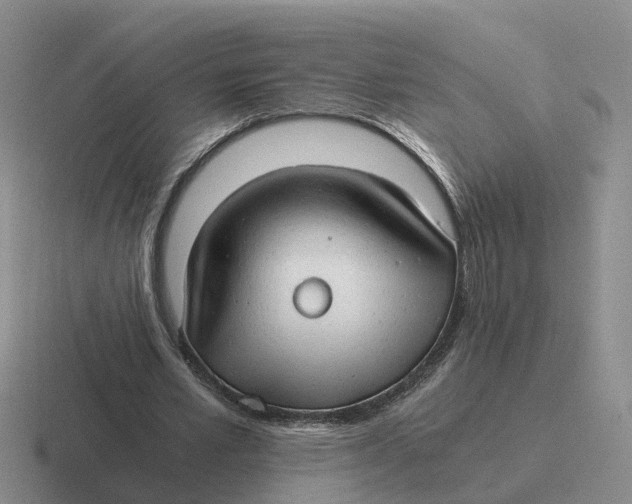 X0000116640581201001041032