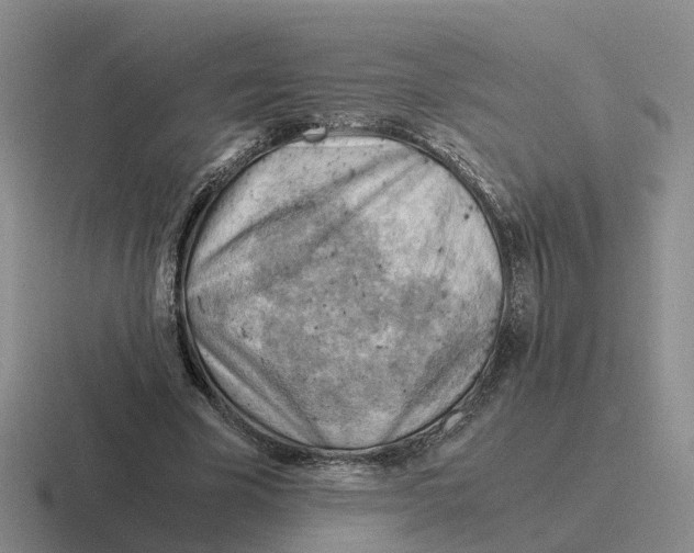 X0000116640585201001041032