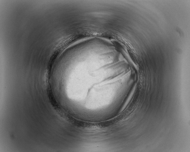 X0000116640594201001041032