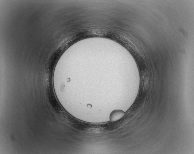 X0000116640595201001041032