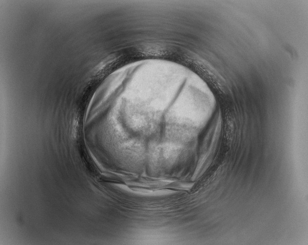 X0000116640596201001041032